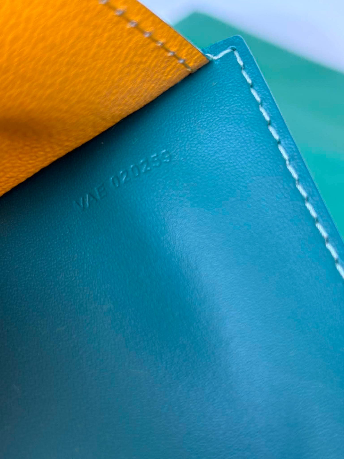 Goyard Passport holder green BN