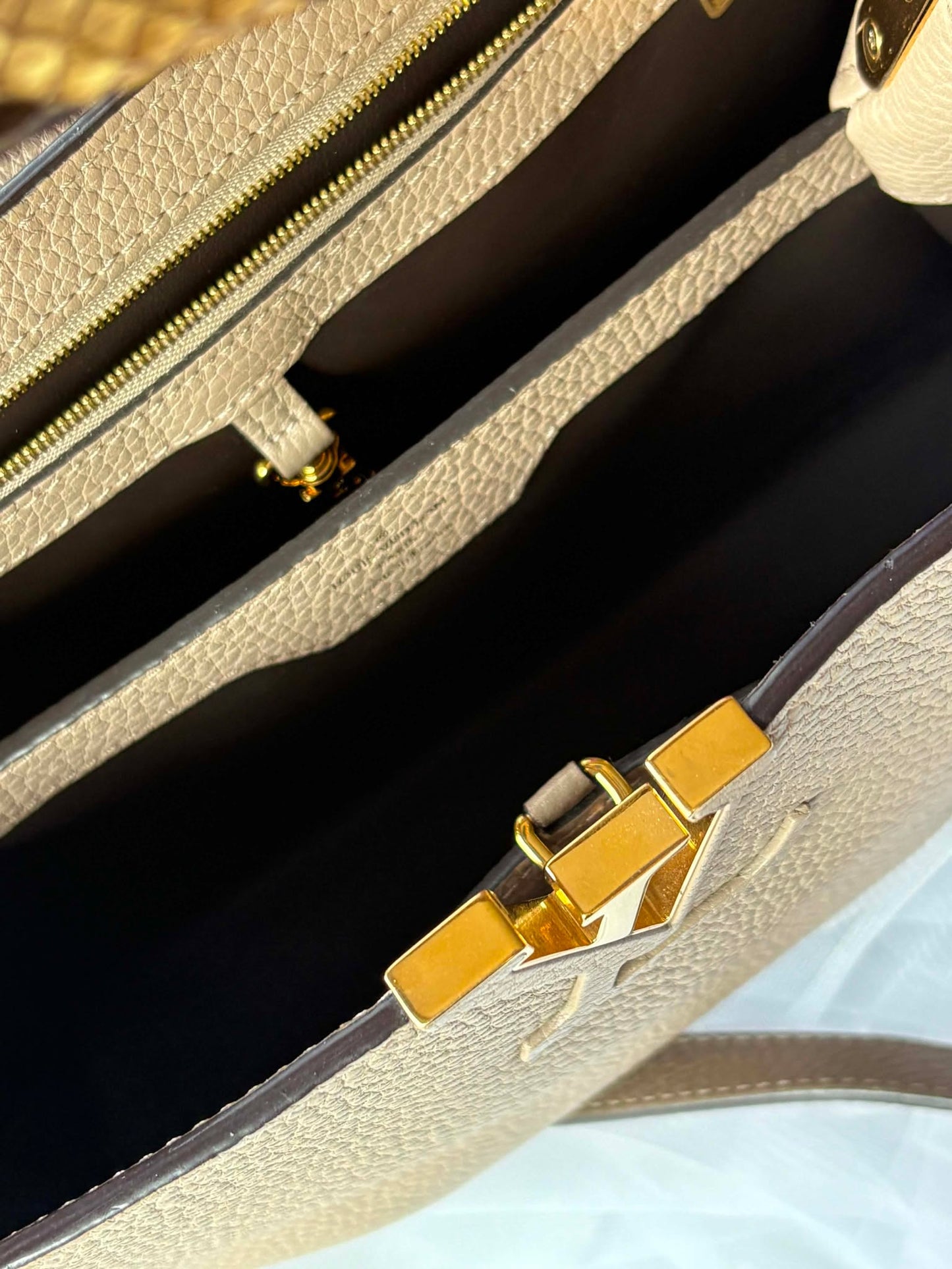 Louis Vuitton capuccine pm taurillion python&nbsp; Microchip Rank A