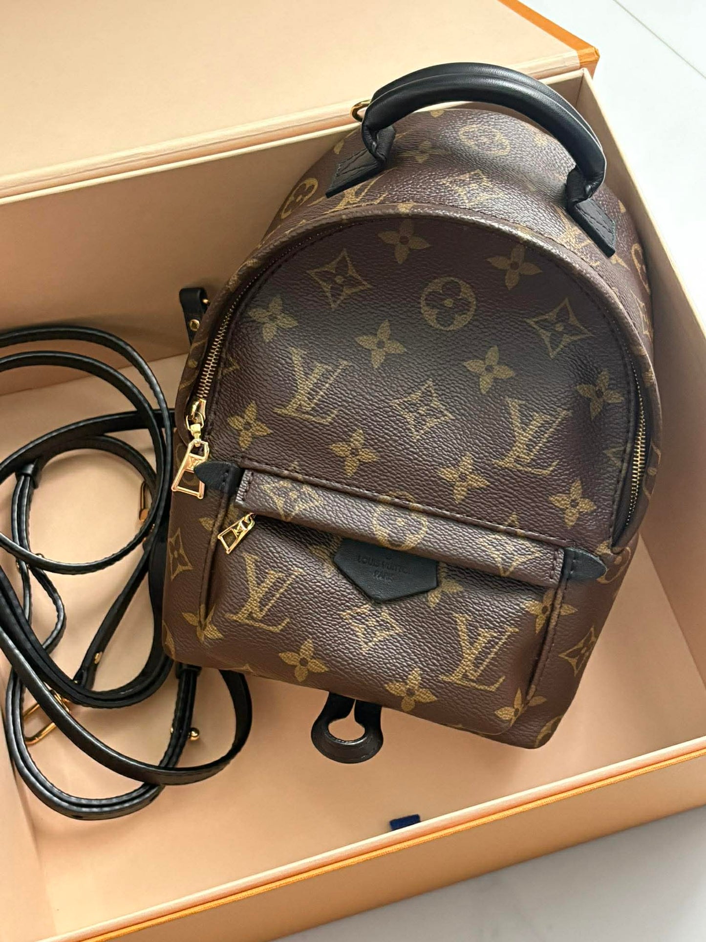 Louis Vuitton Palmsprint mini FL2136