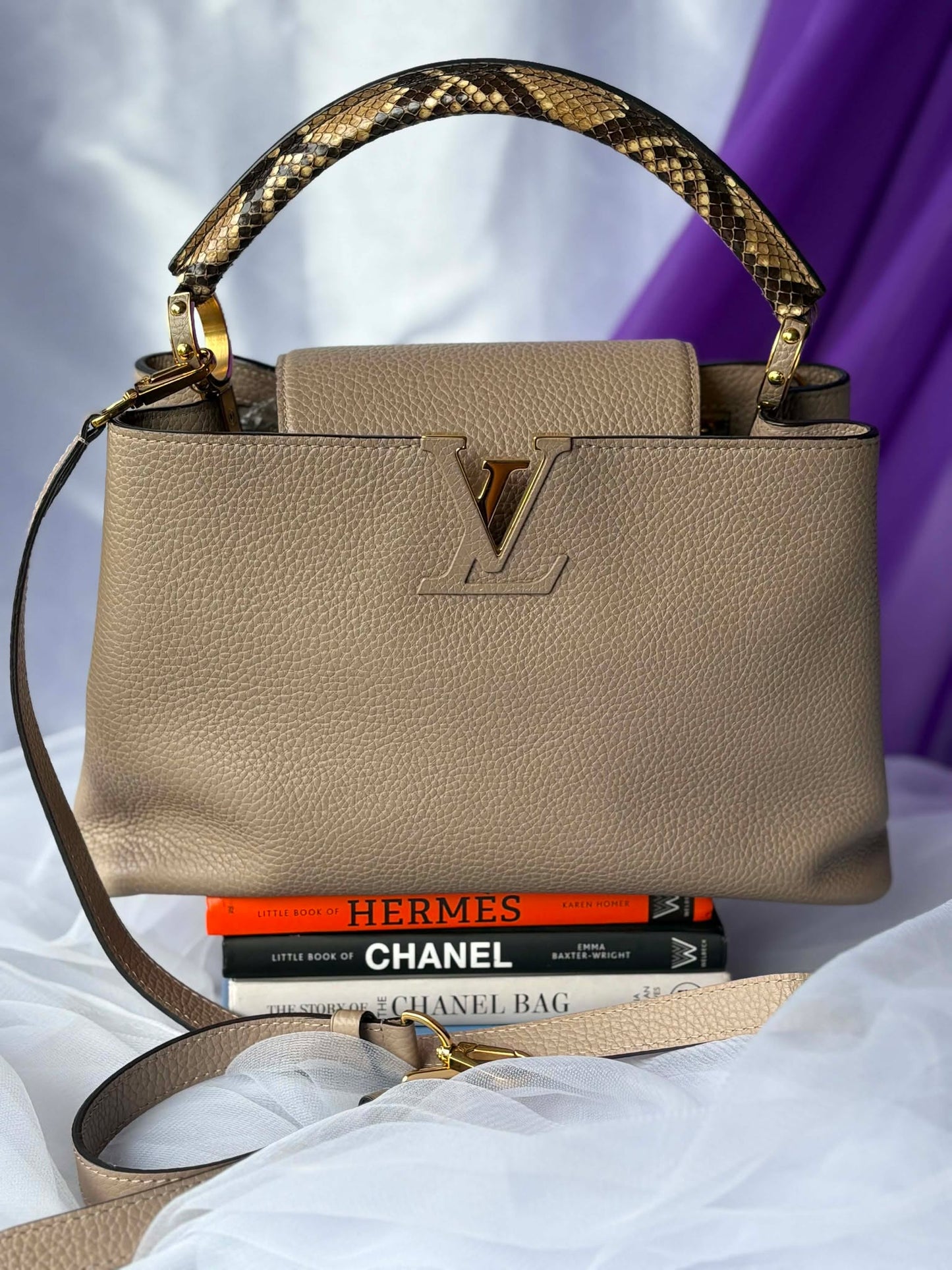 Louis Vuitton capuccine pm taurillion python&nbsp; Microchip Rank A