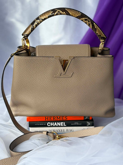 Louis Vuitton capuccine pm taurillion python&nbsp; Microchip Rank A