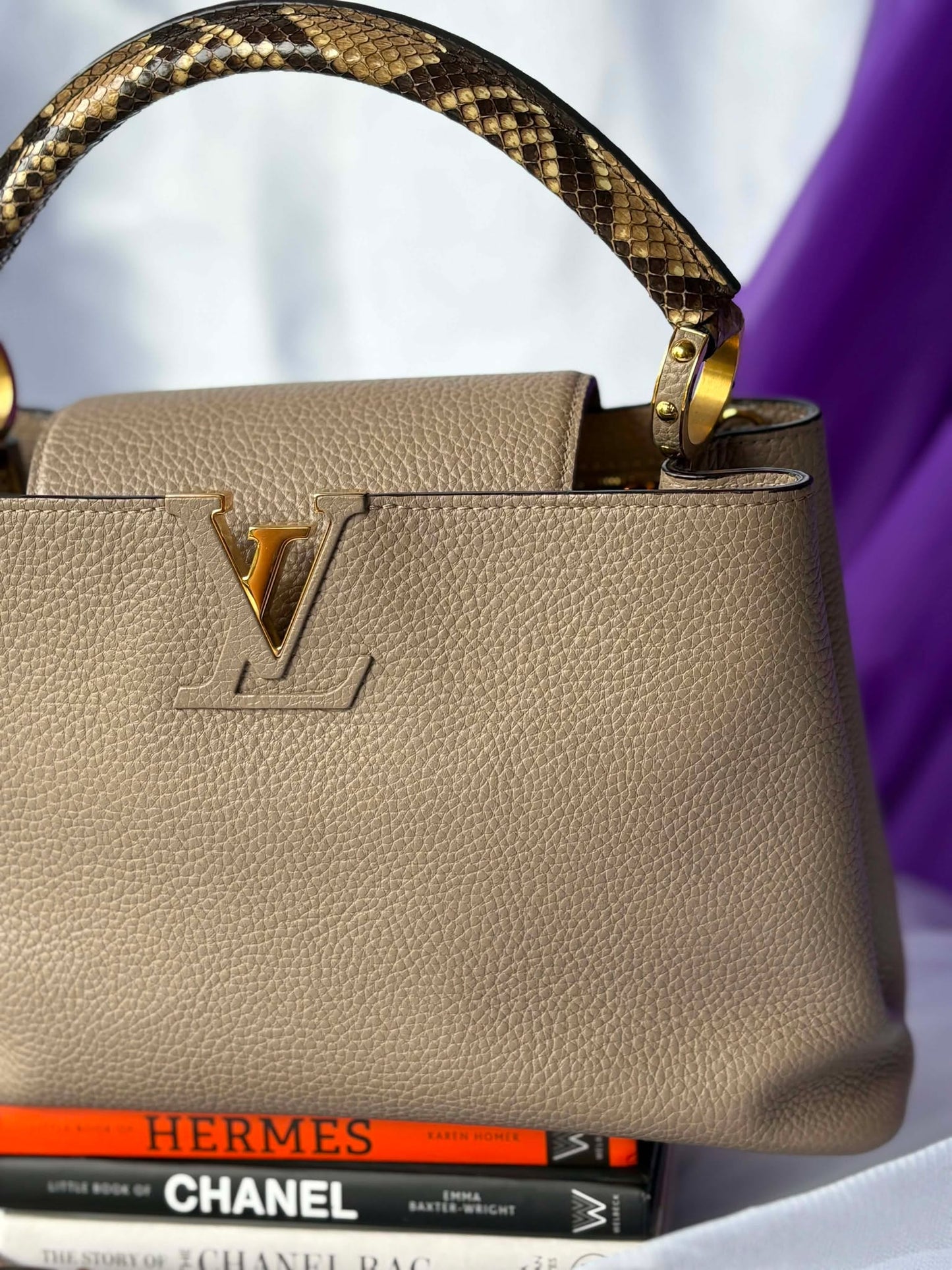 Louis Vuitton capuccine pm taurillion python&nbsp; Microchip Rank A