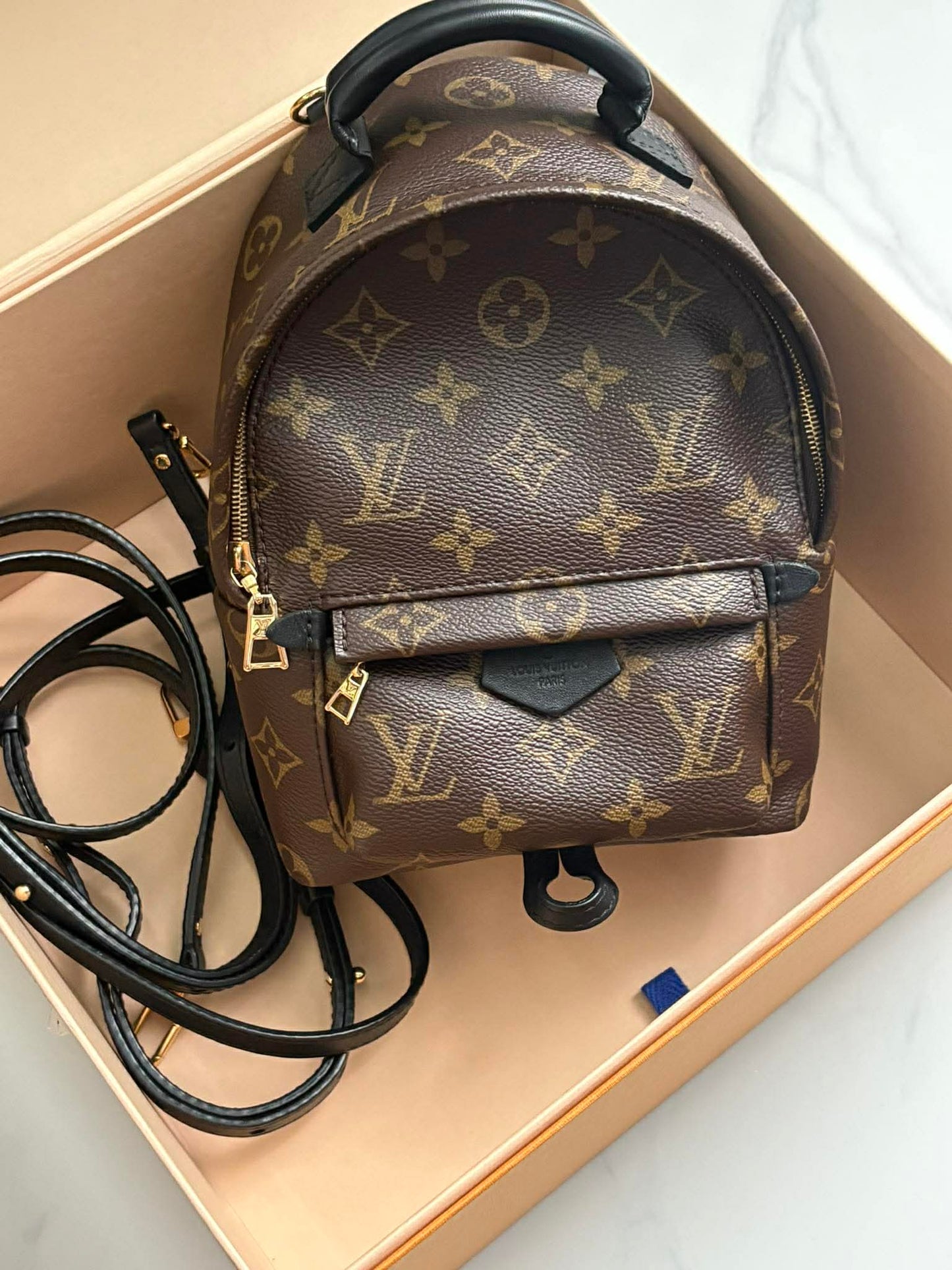 Louis Vuitton Palmsprint mini FL2136