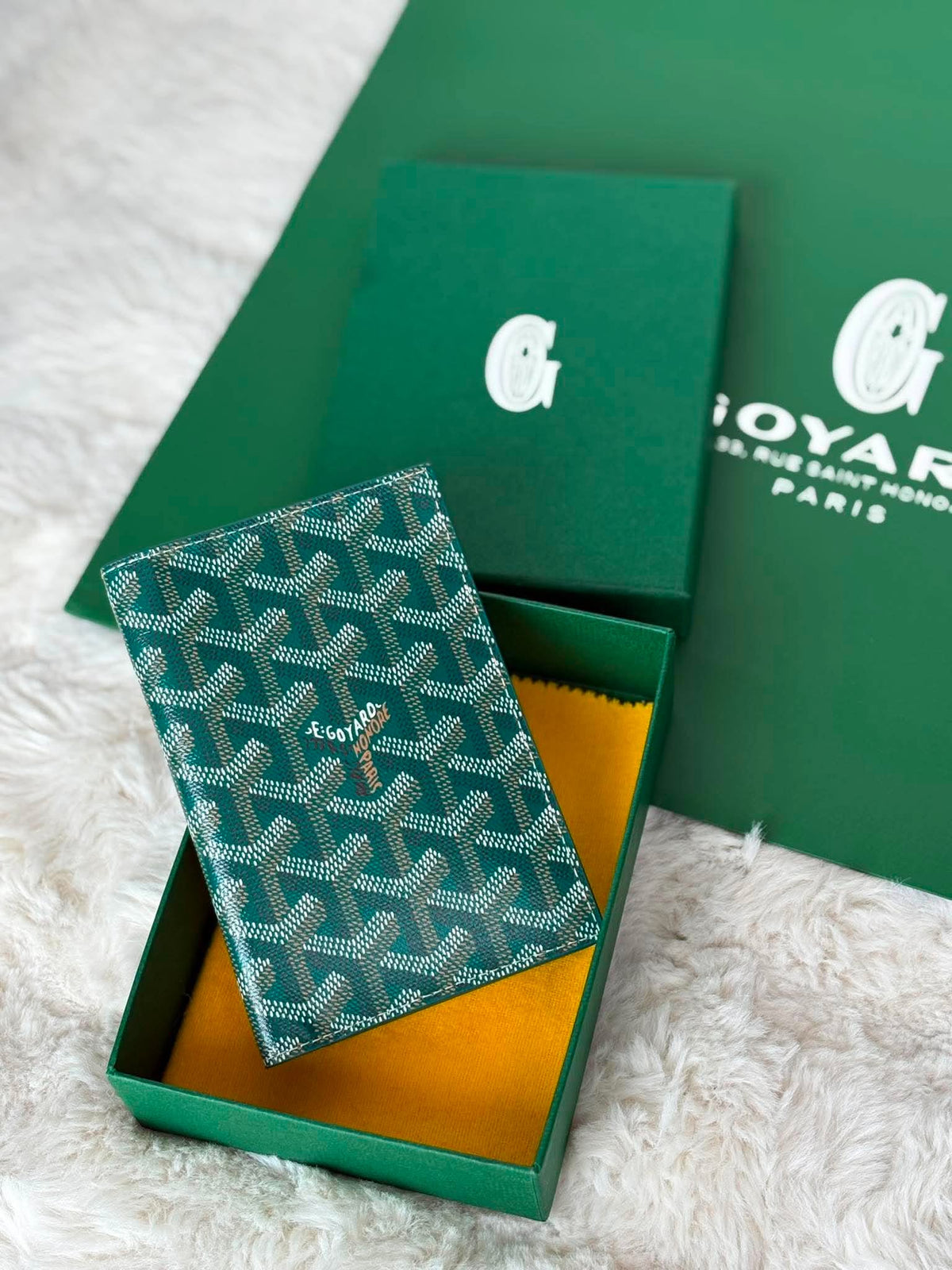 Goyard Passport holder green BN