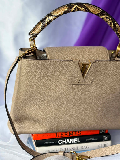 Louis Vuitton capuccine pm taurillion python&nbsp; Microchip Rank A