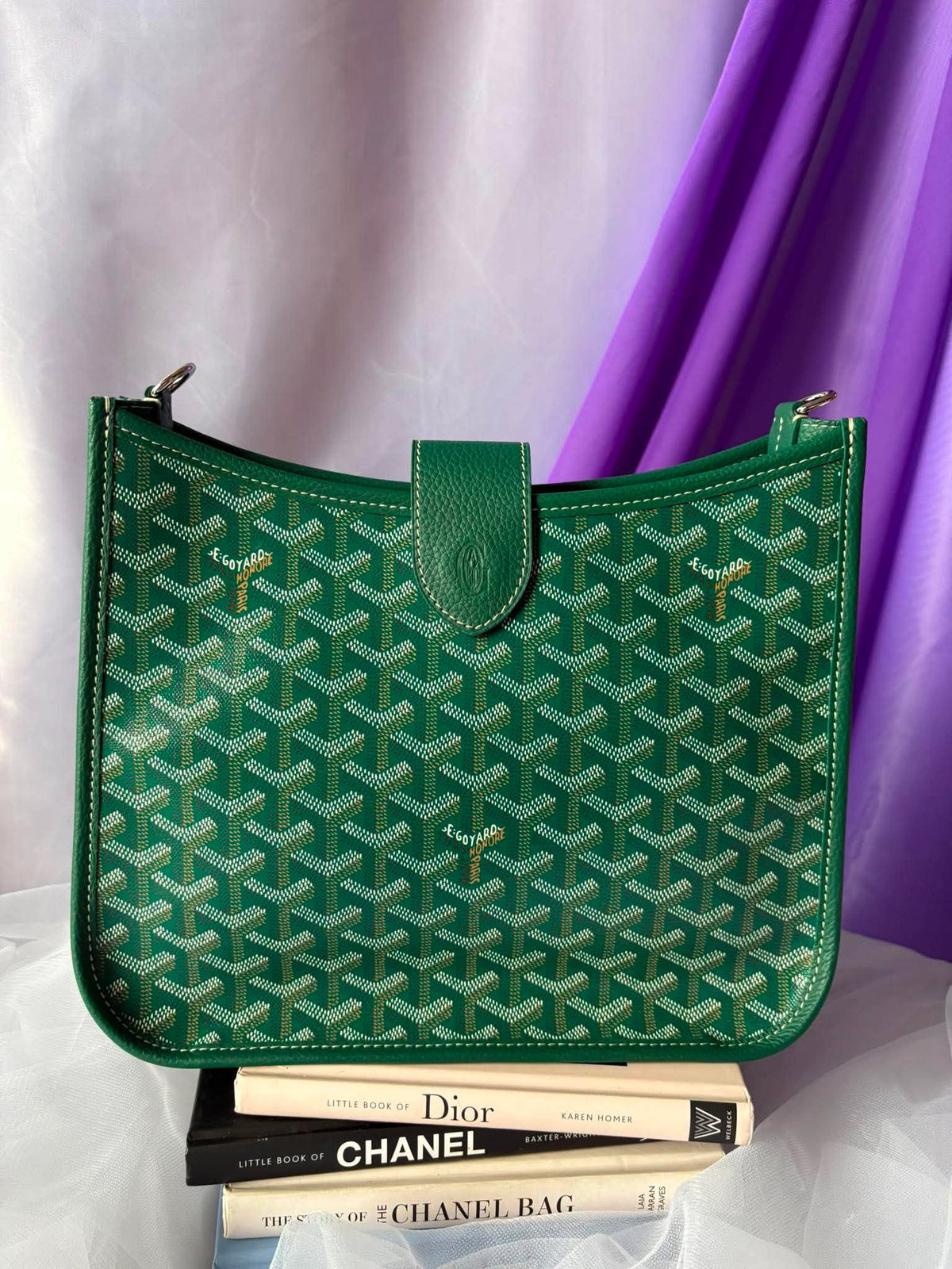 Goyard Musette pm green LMB020261 Brandnew