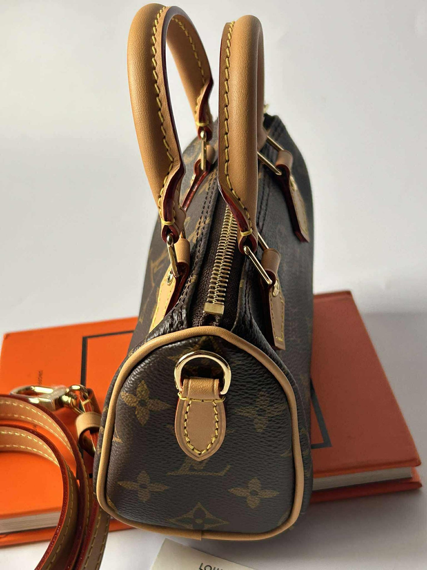 Louis Vutton Speedy Nano &nbsp;mono Brandnew TN2245