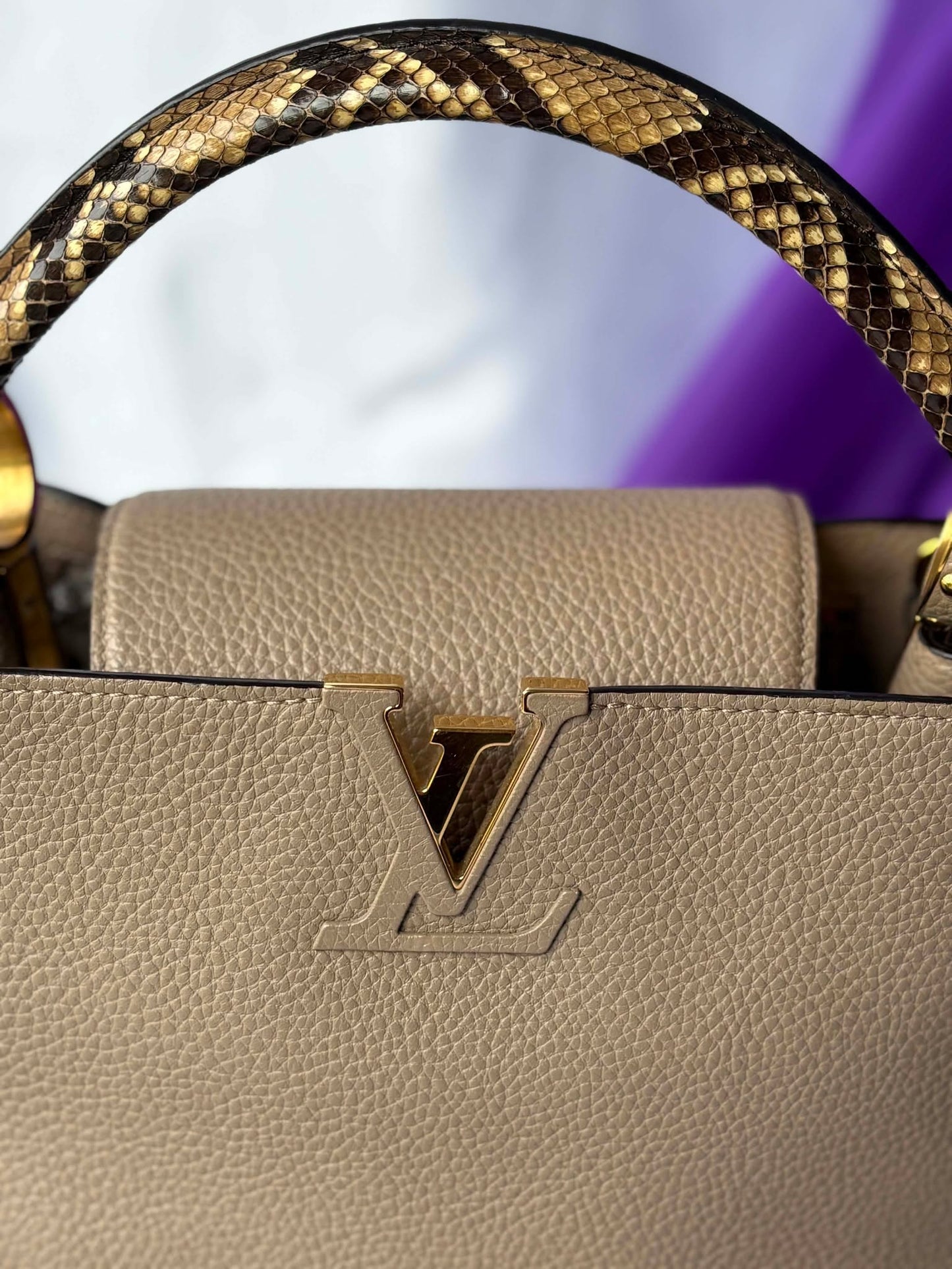 Louis Vuitton capuccine pm taurillion python&nbsp; Microchip Rank A