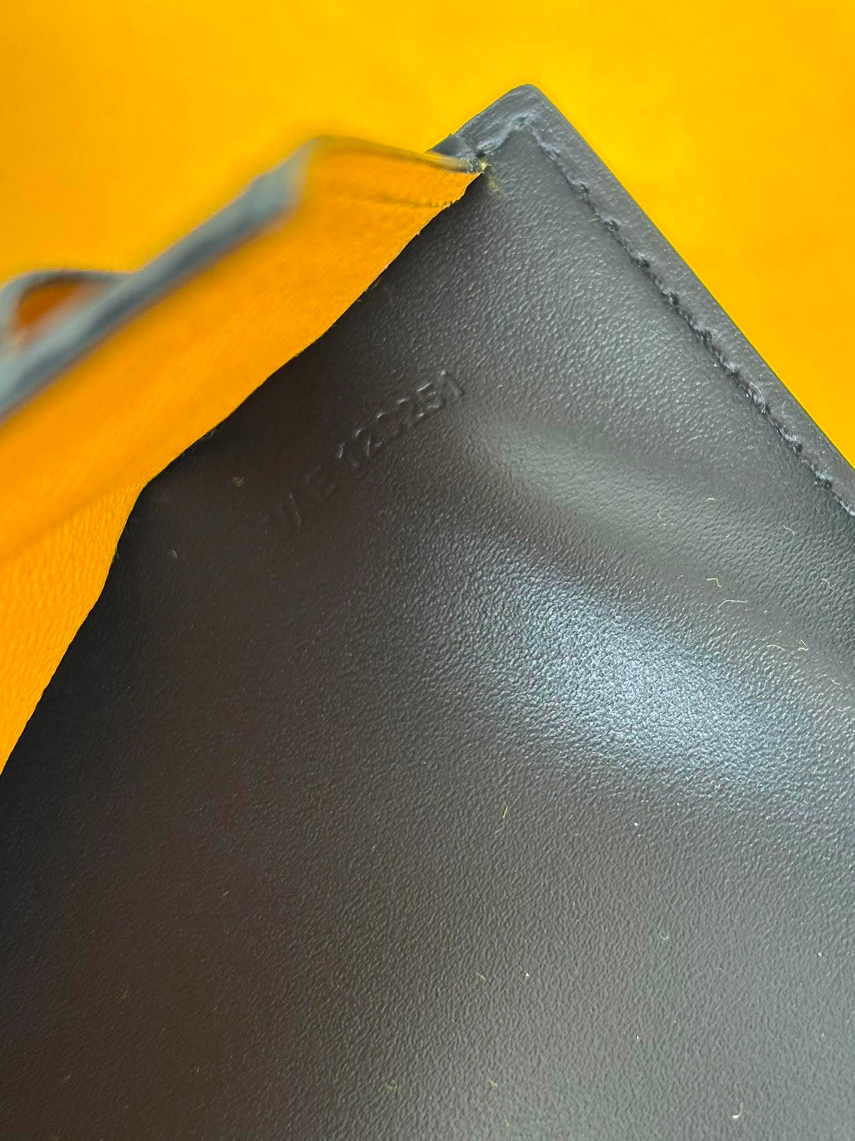 Goyard Passport holder black BN