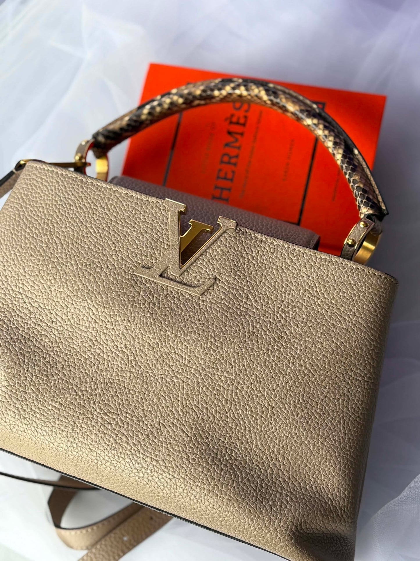 Louis Vuitton capuccine pm taurillion python&nbsp; Microchip Rank A