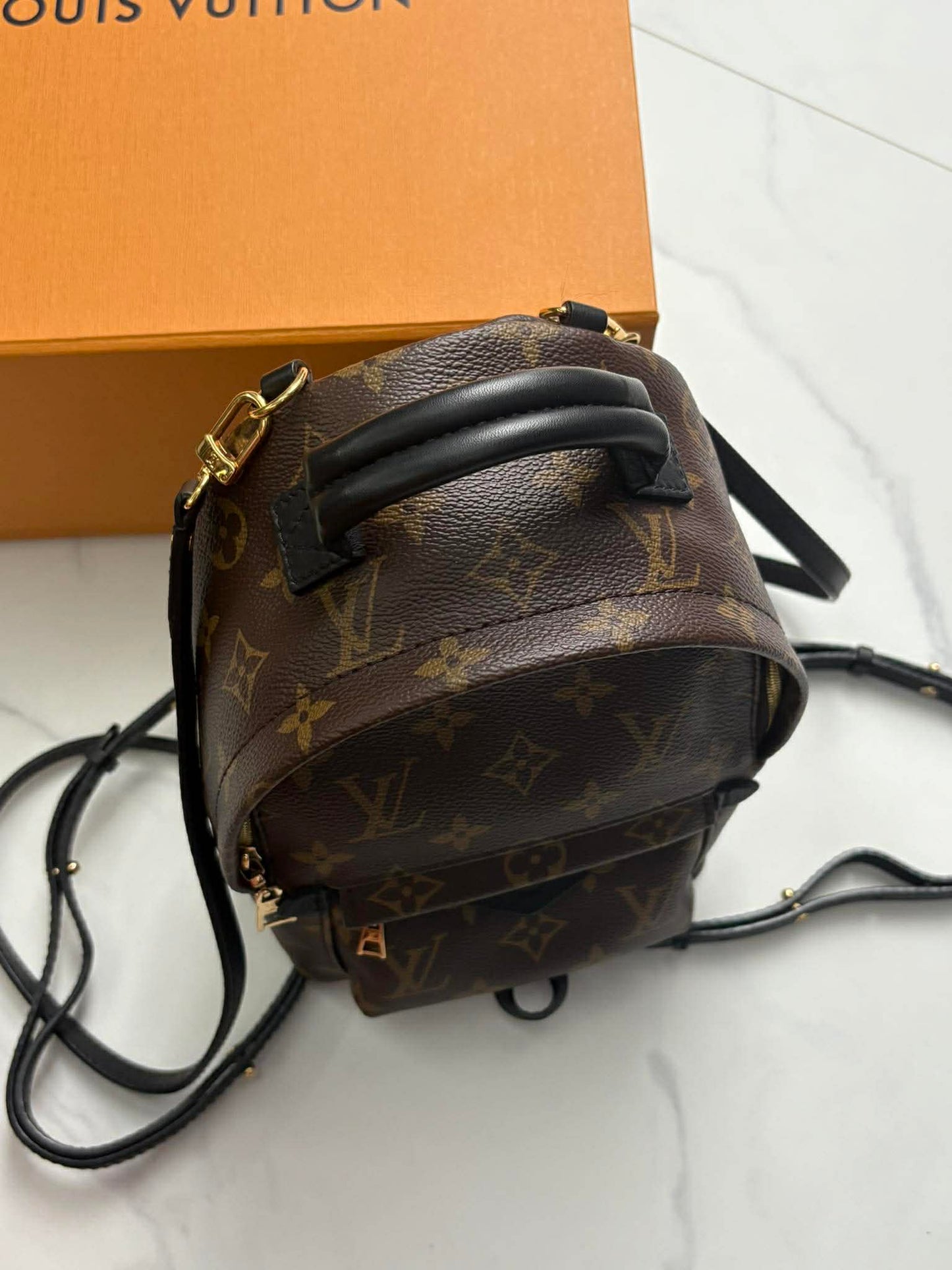 Louis Vuitton Palmsprint mini FL2136