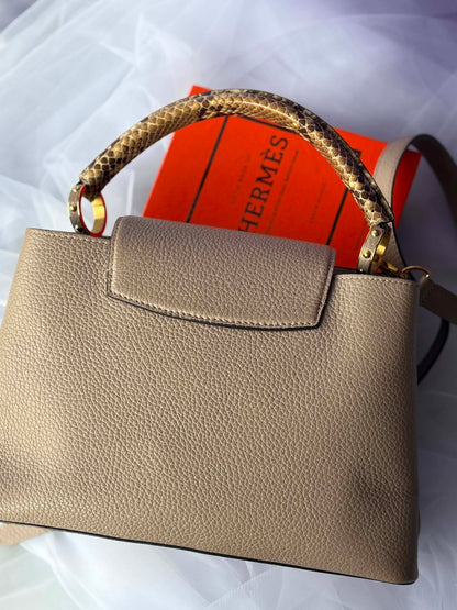 Louis Vuitton capuccine pm taurillion python&nbsp; Microchip Rank A
