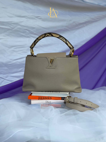 Louis Vuitton capuccine pm taurillion python&nbsp; Microchip Rank A