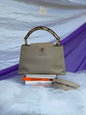 Louis Vuitton capuccine pm taurillion python&nbsp; Microchip Rank A