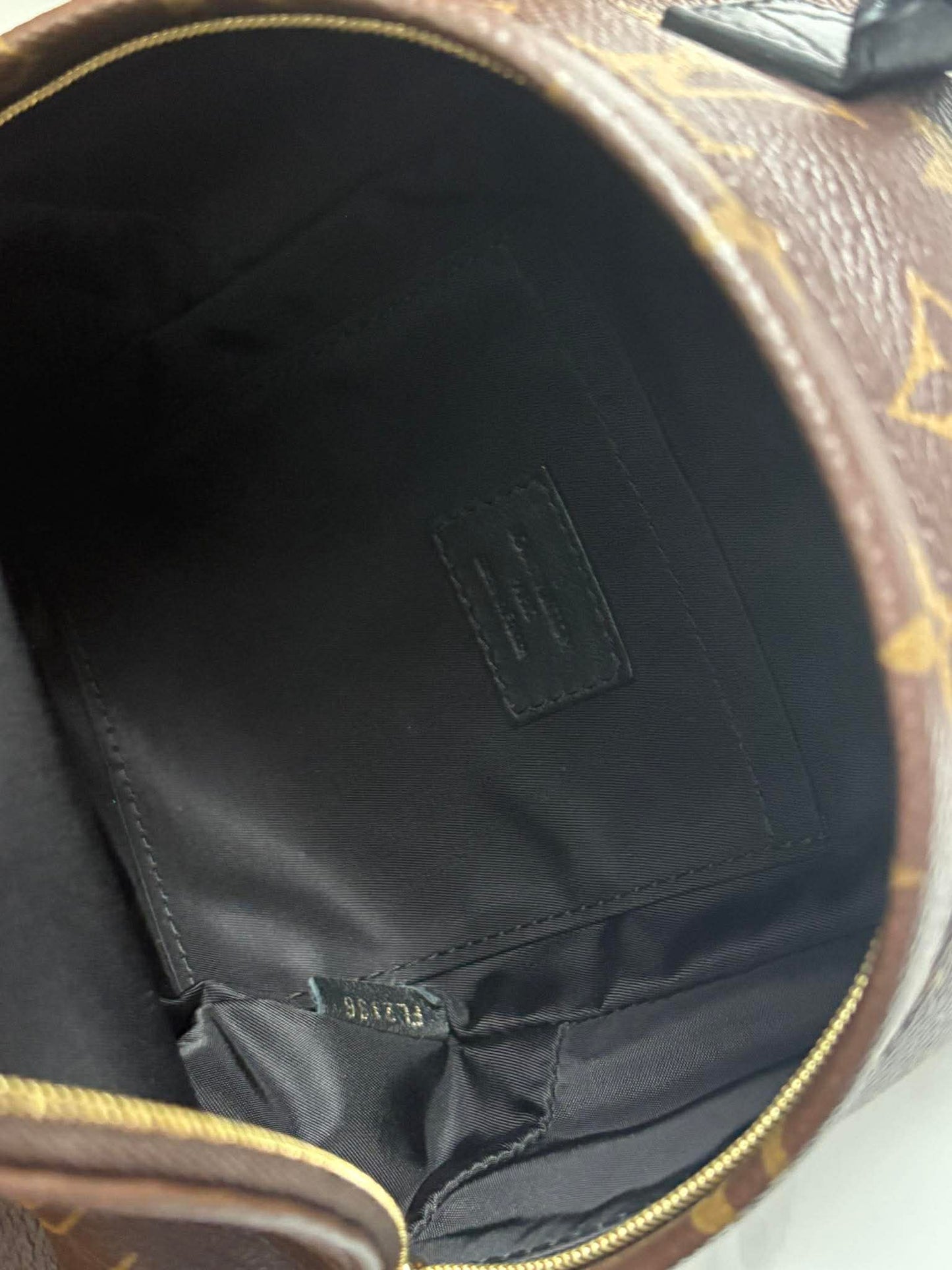 Louis Vuitton Palmsprint mini FL2136