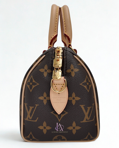 LV Speedy Bandouliere 20 Monogram Canvas