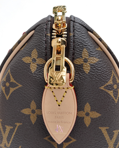 LV Speedy Bandouliere 20 Monogram Canvas